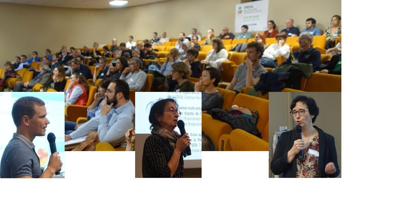 oreca illustration.jpg